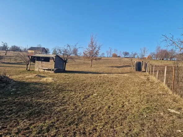 Teren intravilan 5300 mp — Dobreni