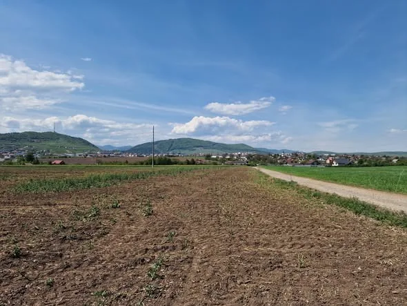 12 loturi de teren, 10.000 mp — Cartier Ciritei, Piatra Neamț